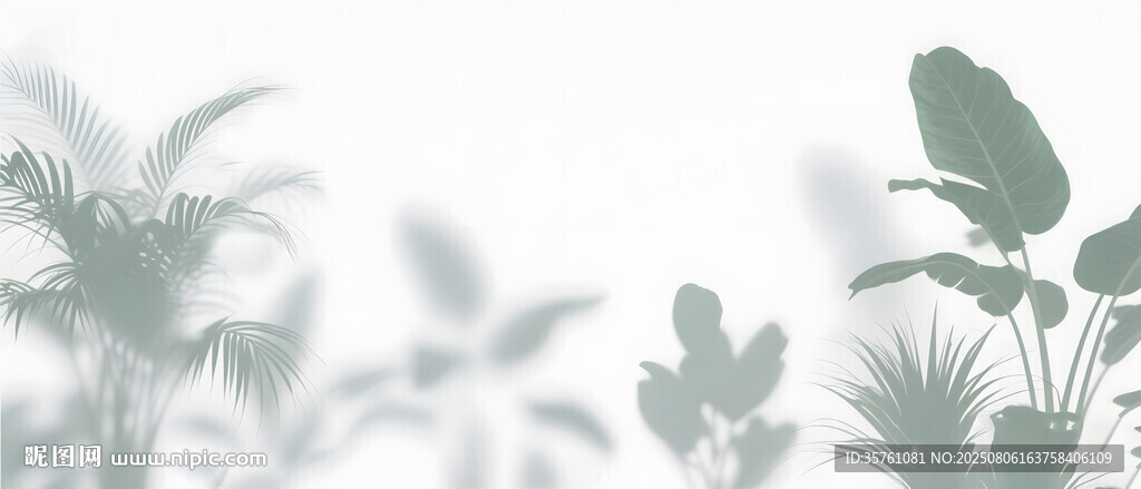 雾气磨砂膜效果绿植贴图