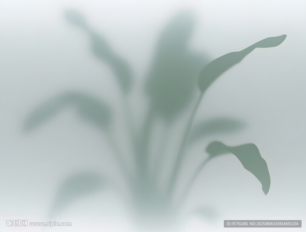 雾气磨砂膜效果绿植贴图