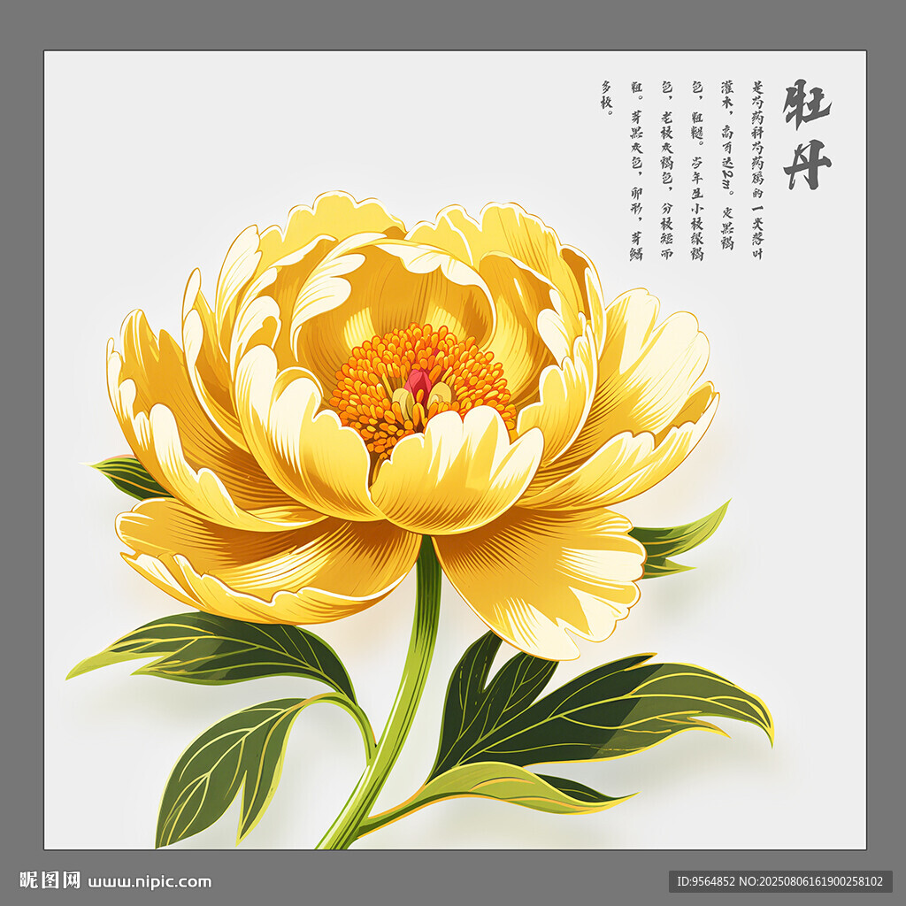 金色牡丹