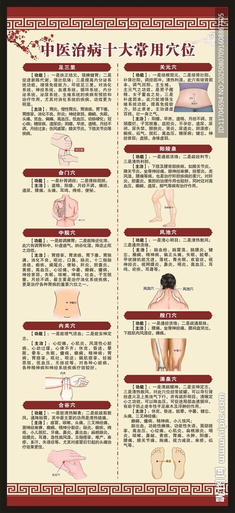 中医养生知识展架