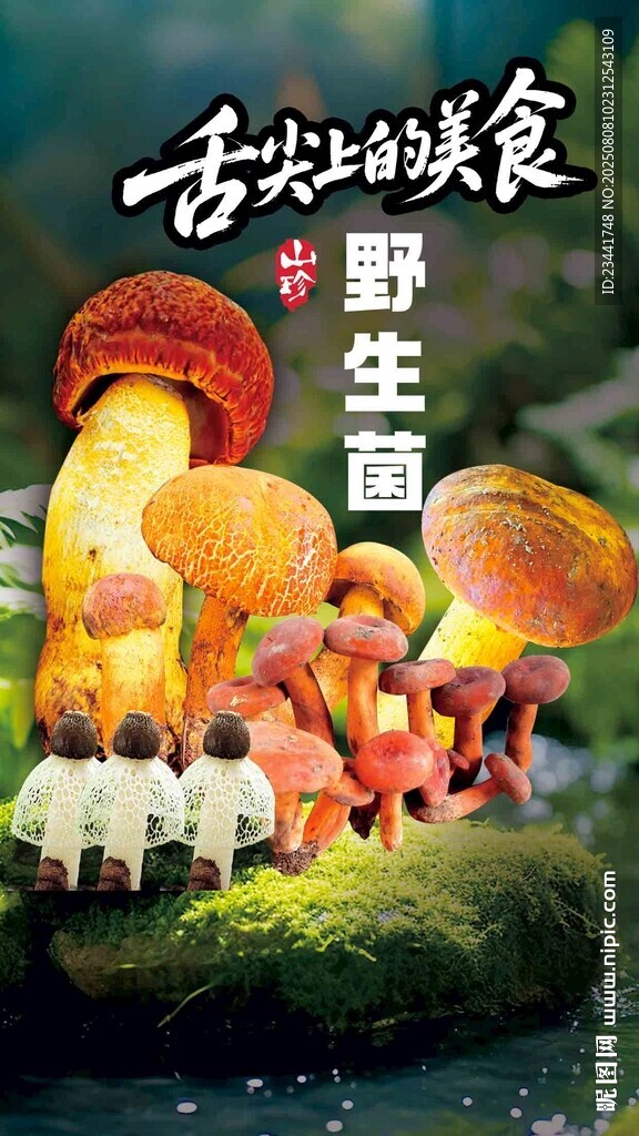 野生菌广告