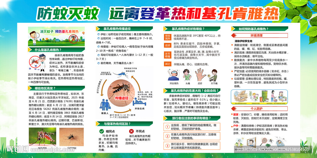 基孔肯雅热 