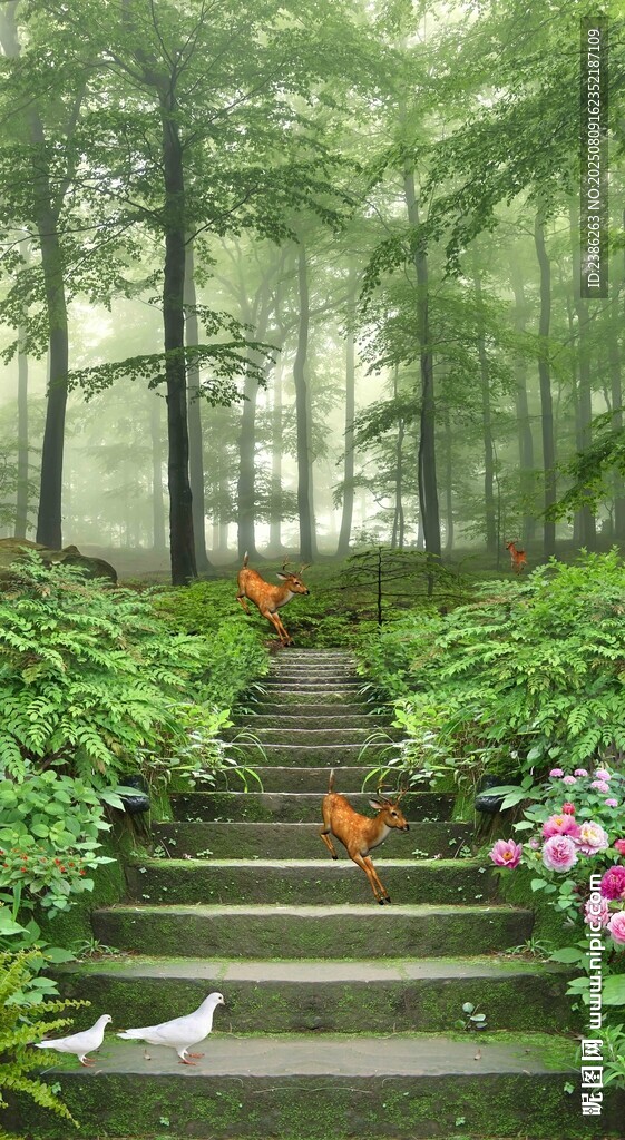 幽静森林小道阶梯风景画玄关背景