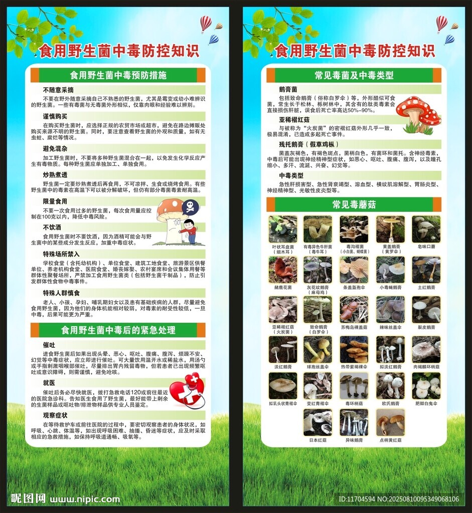 预防毒蘑菇中毒知识展架
