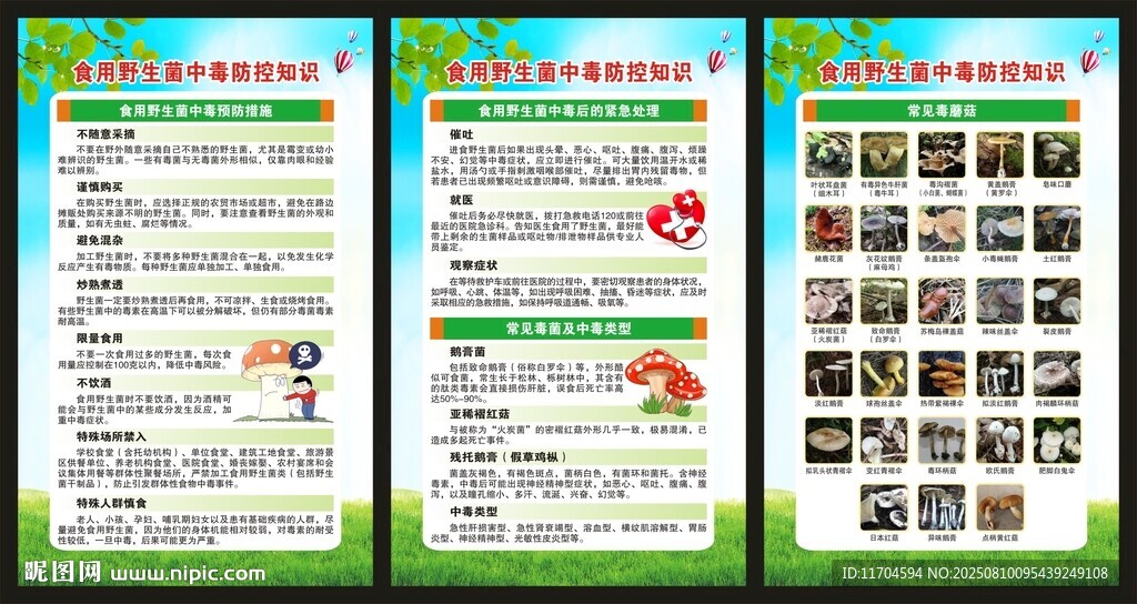 预防毒蘑菇中毒知识展板