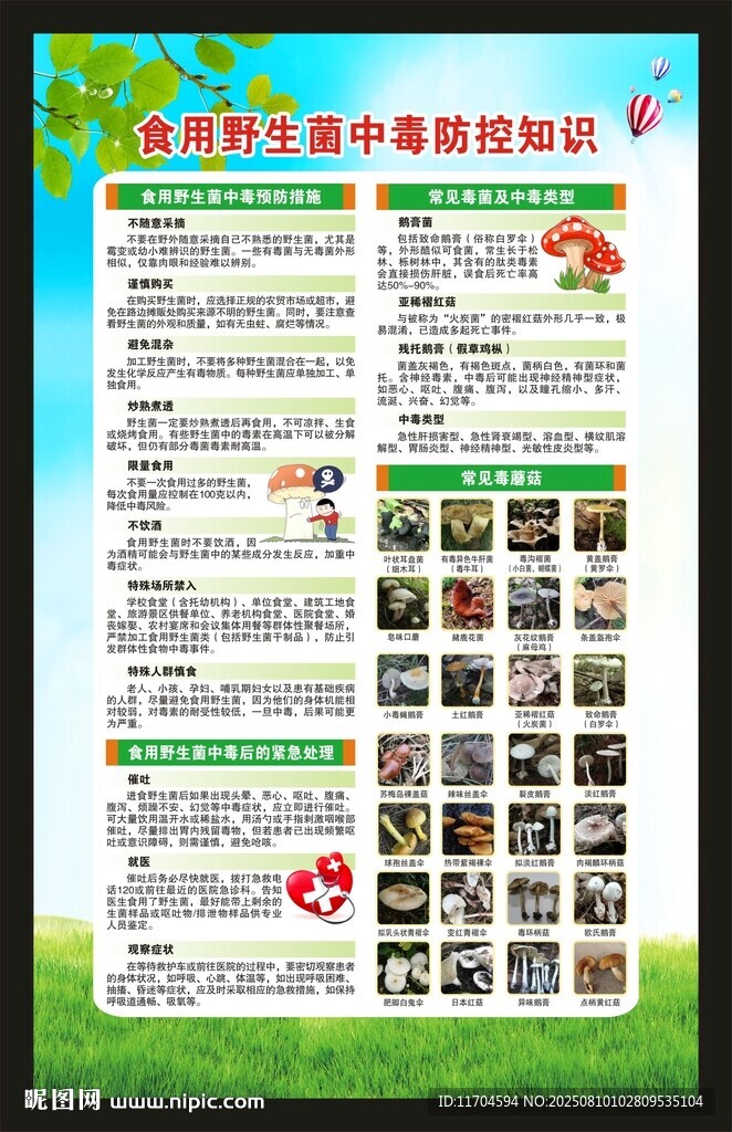 预防毒蘑菇中毒知识海报