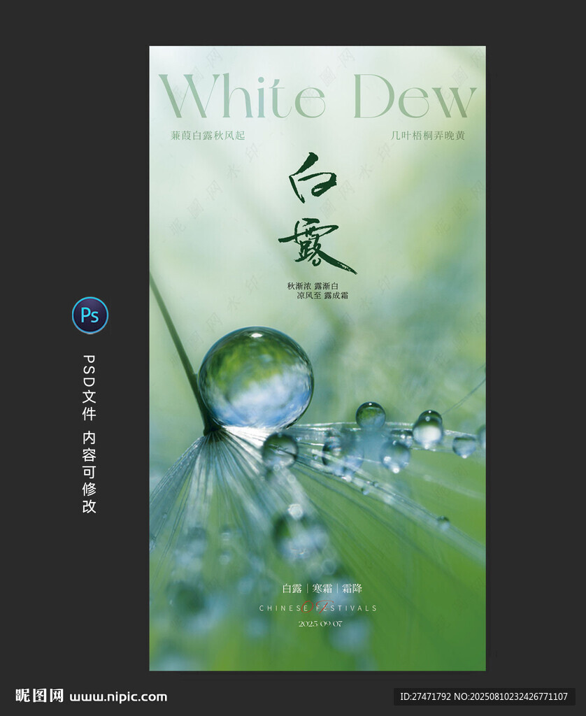 白露