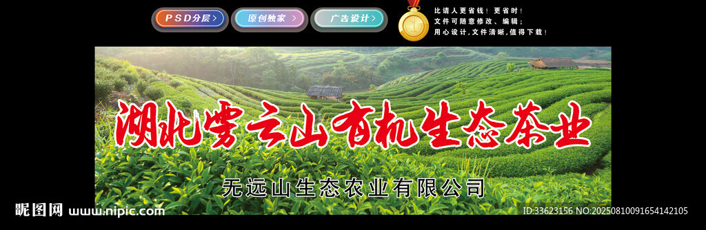 茶田背景图