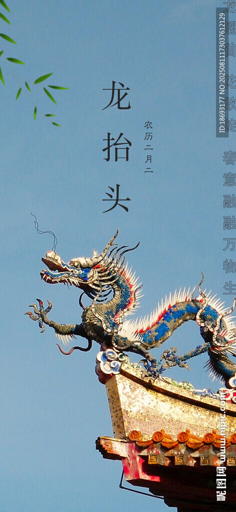 龙抬头  