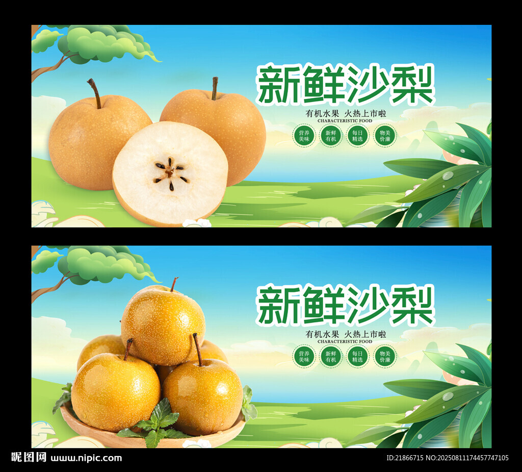 沙梨