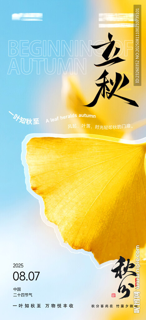 立秋秋分时节银杏叶金黄