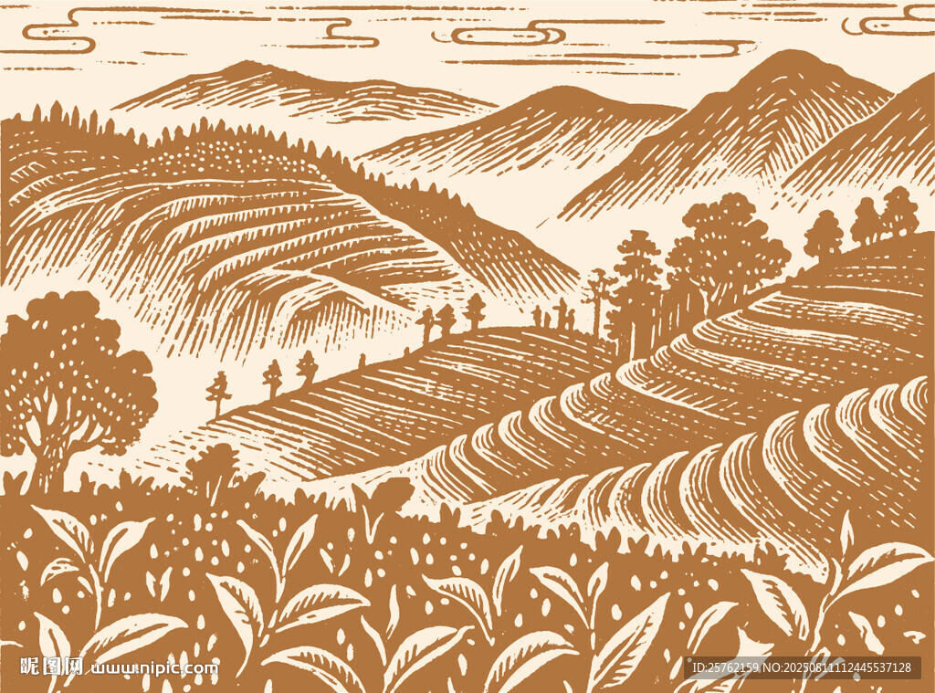 手绘茶山