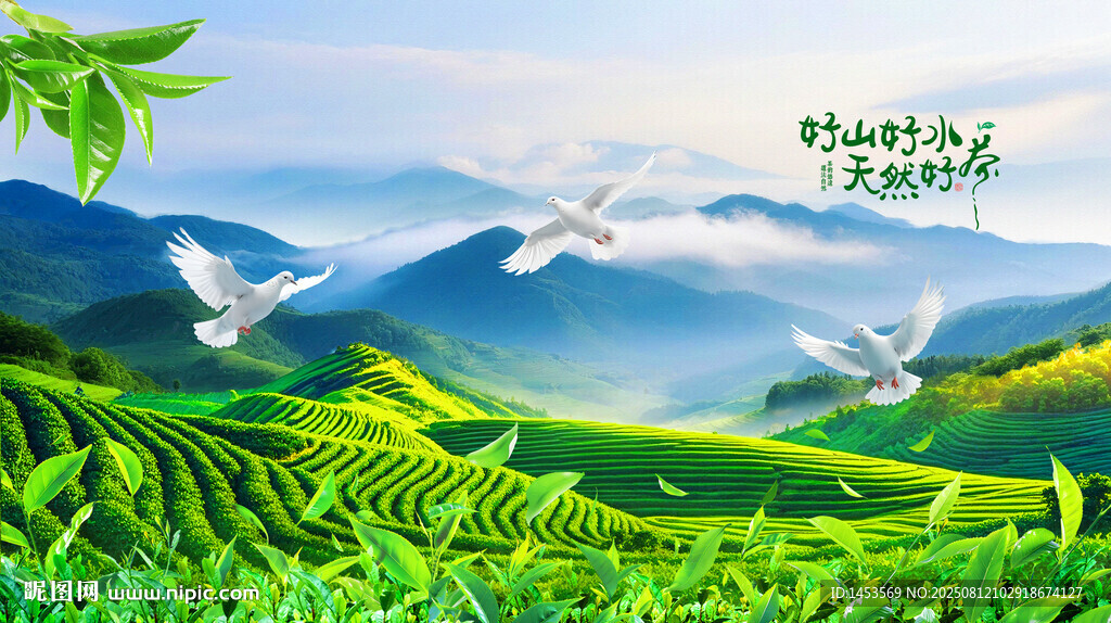 茶园