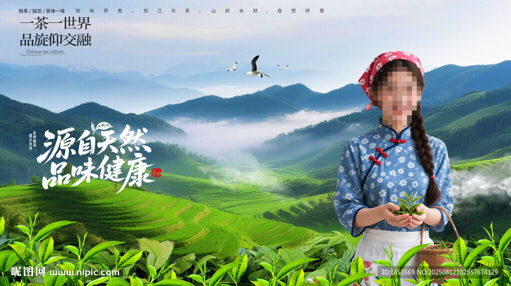 采茶