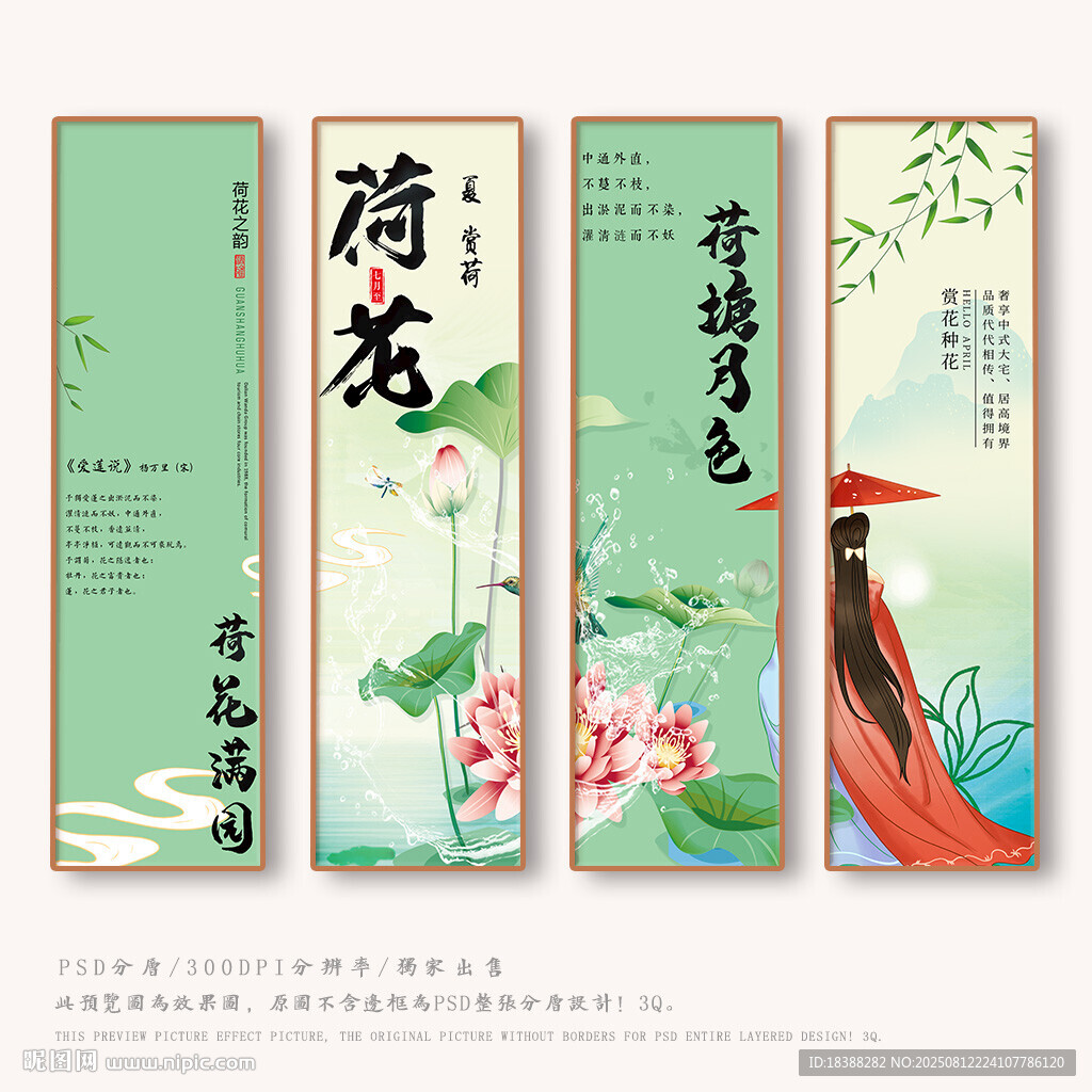 赏荷花