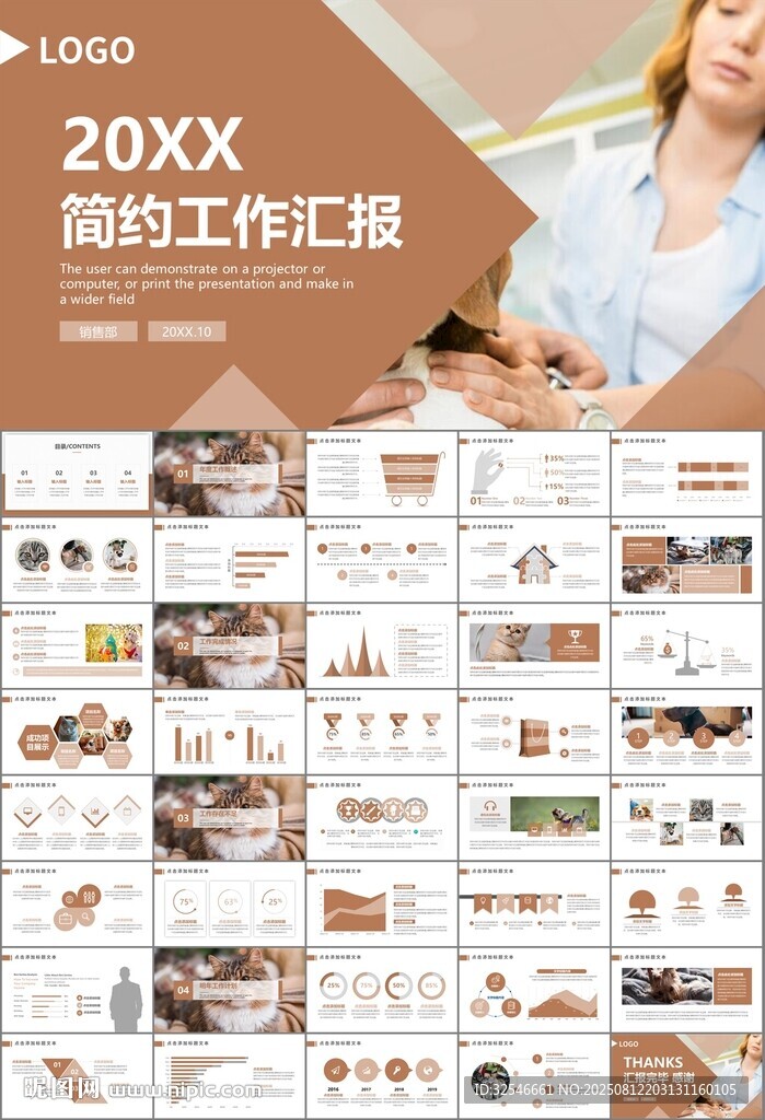 宠物行业医院美容宠物店ppt