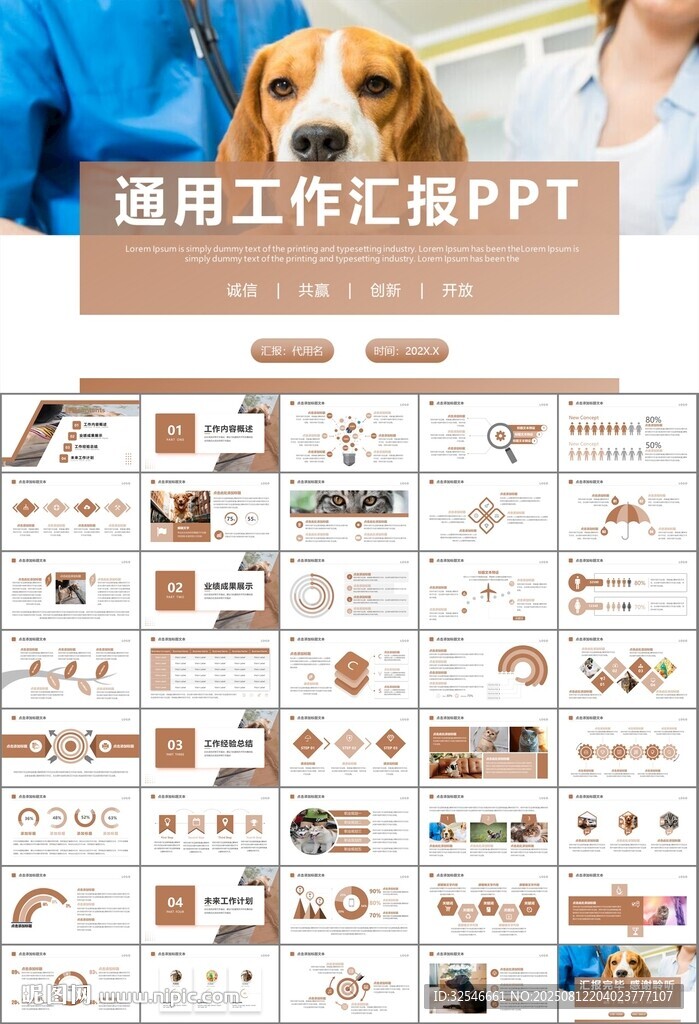 宠物行业医院美容宠物店ppt
