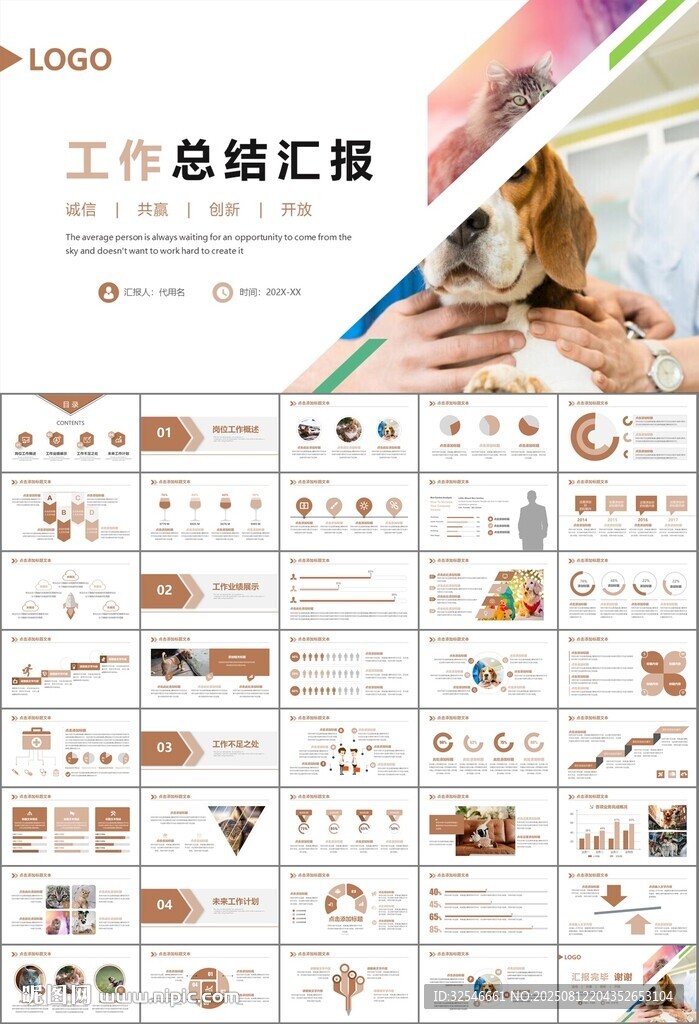 宠物行业医院美容宠物店ppt