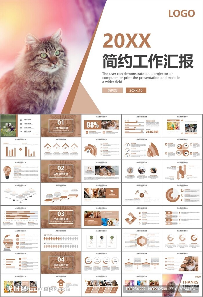 宠物行业医院美容宠物店ppt