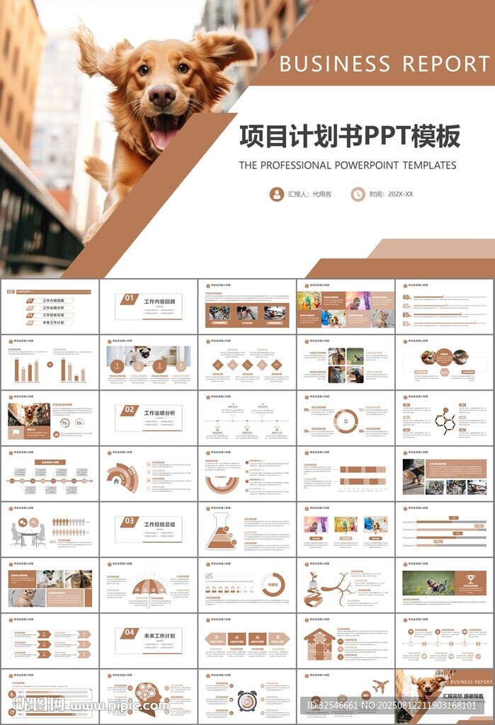 宠物行业医院美容宠物店ppt