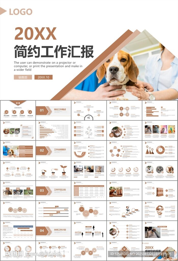 宠物行业医院美容宠物店ppt