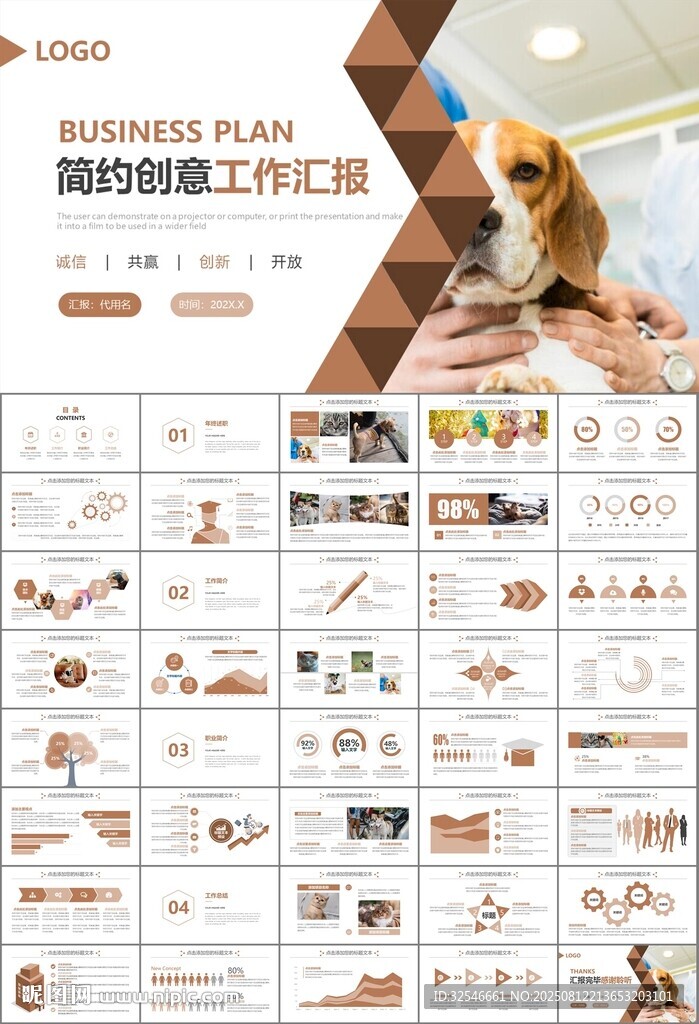 宠物行业医院美容宠物店ppt