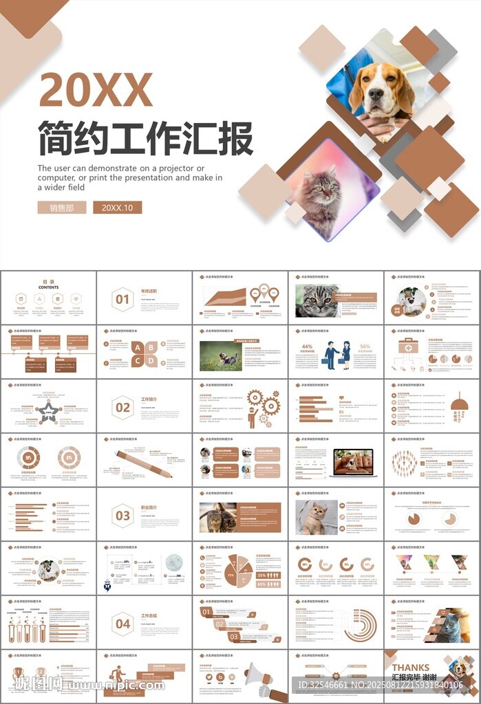 宠物行业医院美容宠物店ppt