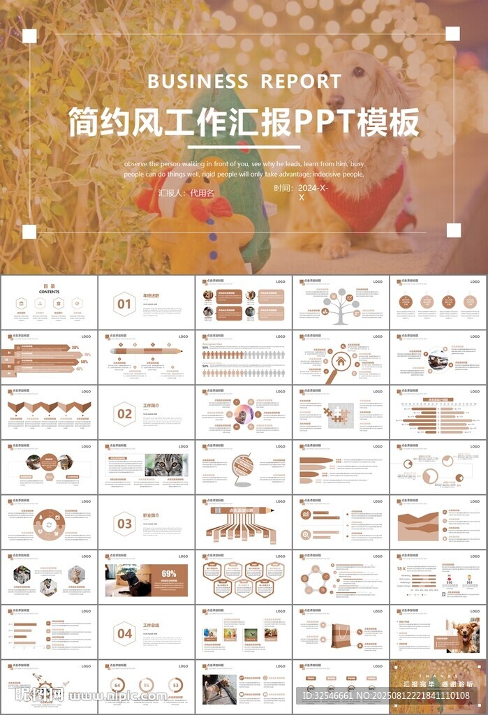 宠物行业医院美容宠物店ppt