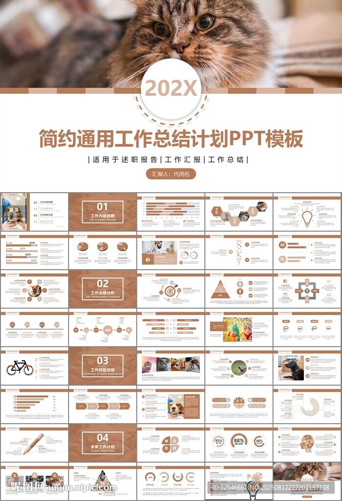 宠物行业医院美容宠物店ppt