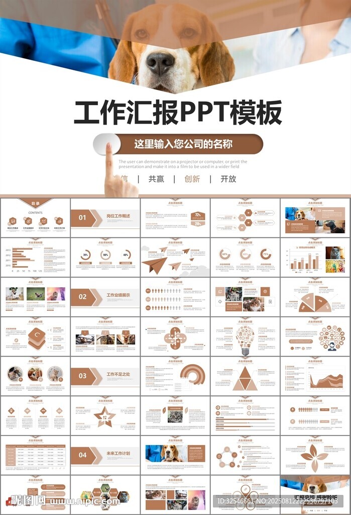 宠物行业医院美容宠物店ppt