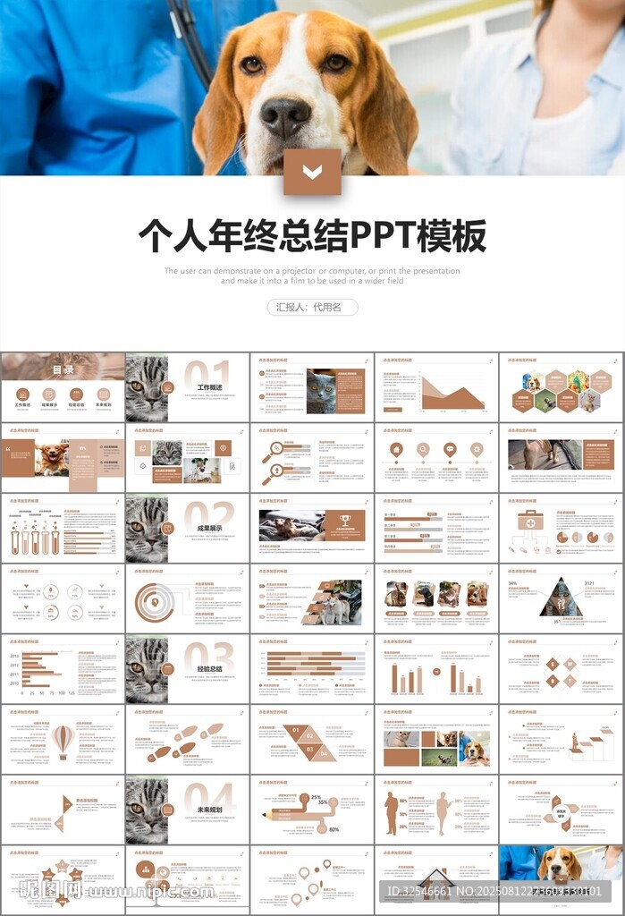 宠物行业医院美容宠物店ppt