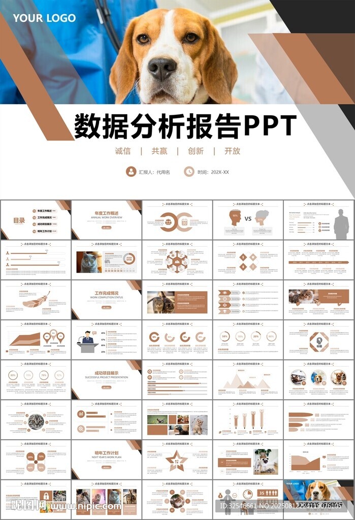 宠物行业医院美容宠物店ppt