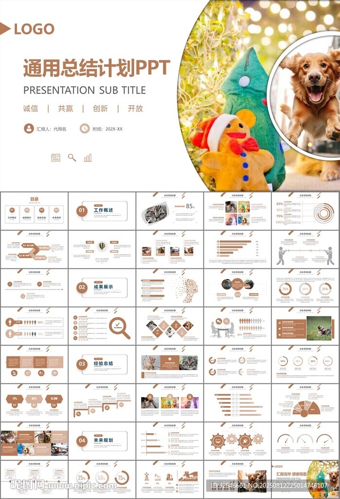 宠物行业医院美容宠物店ppt