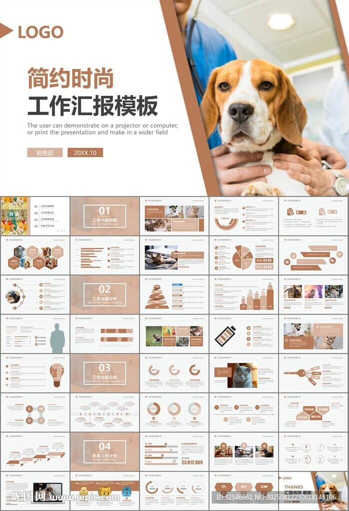 宠物行业医院美容宠物店ppt