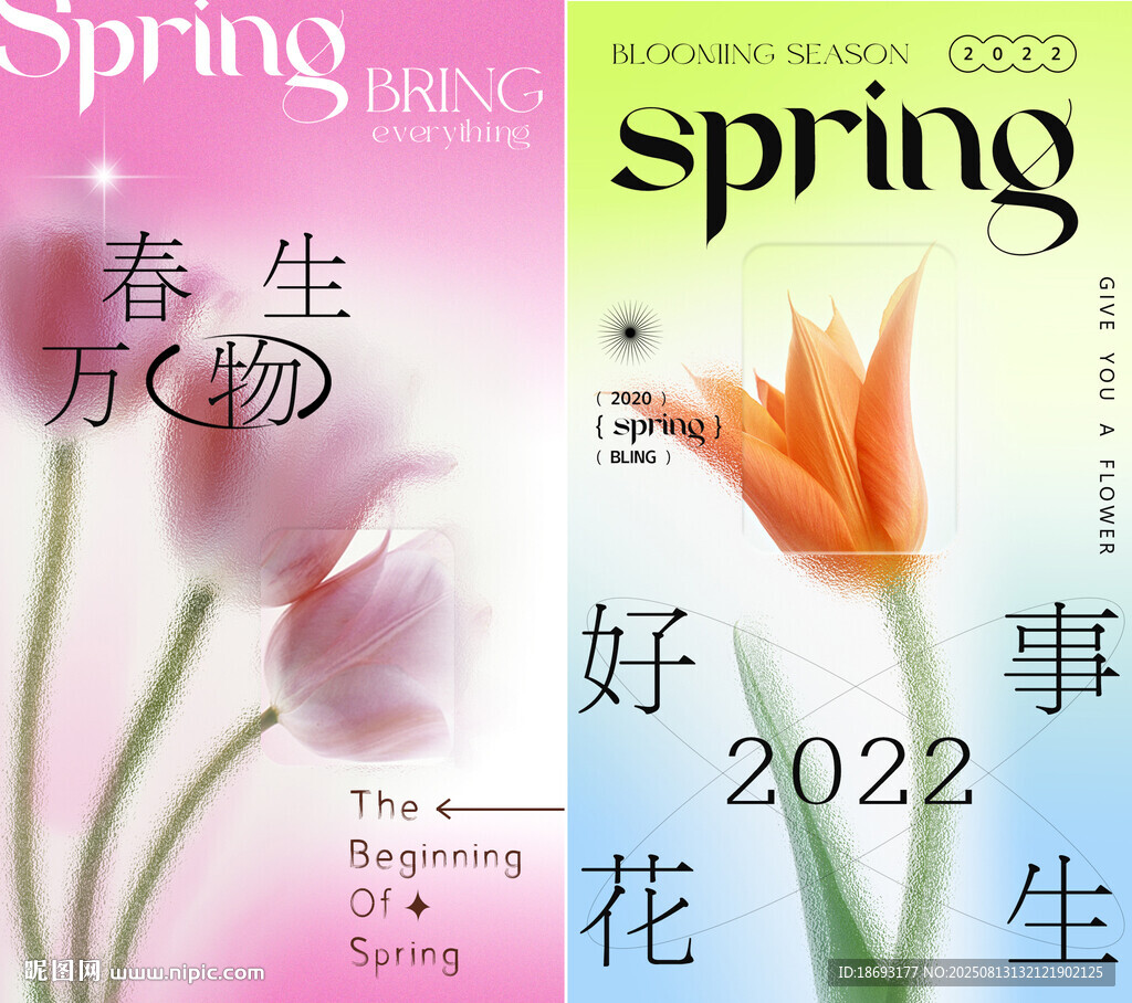 花海报