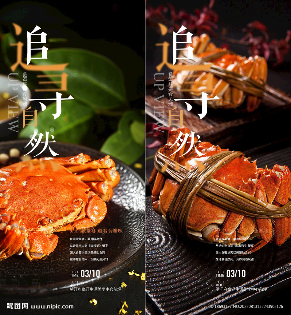   螃蟹 