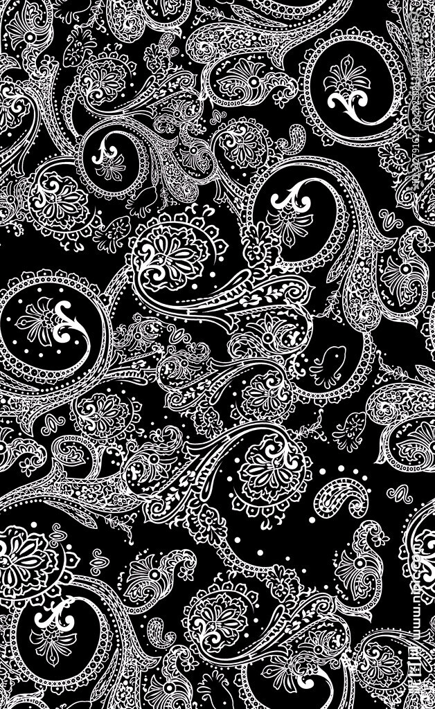 黑白佩斯利花纹图案