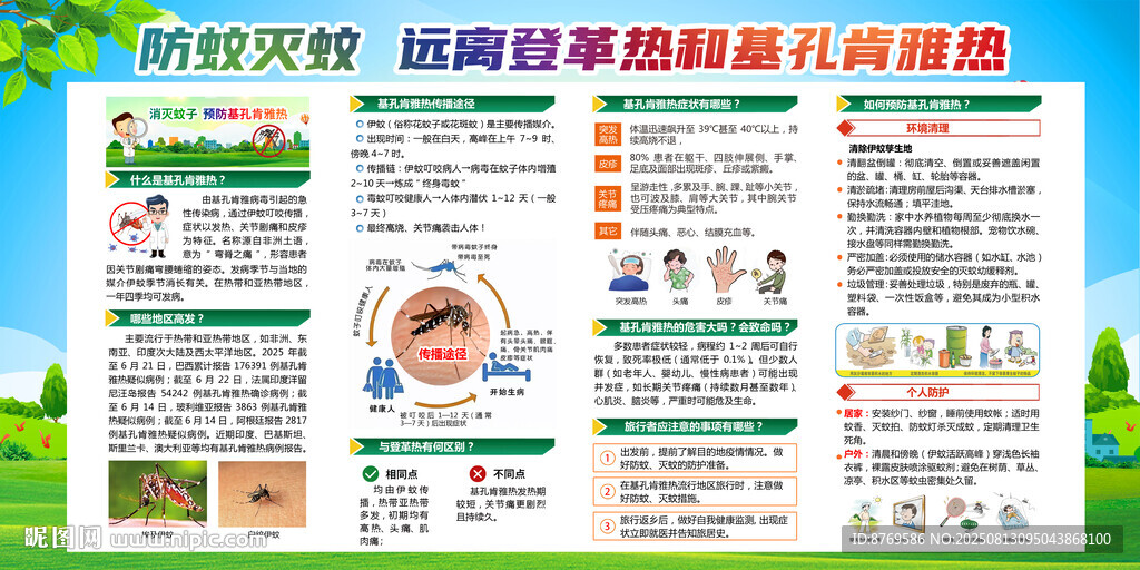 校园基孔肯雅热