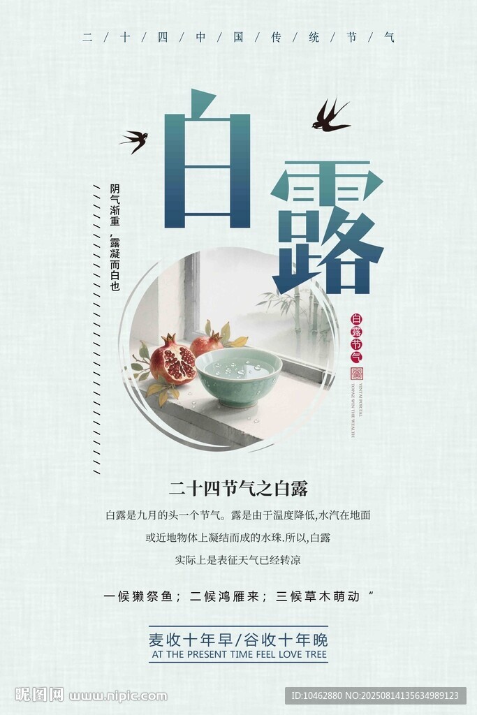 二十四节气白露节气宣传海报