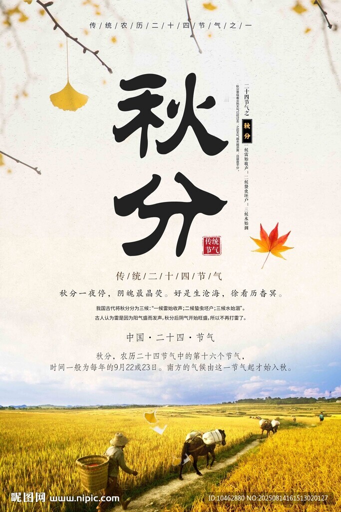 二十四节气秋分时节田野丰收景象
