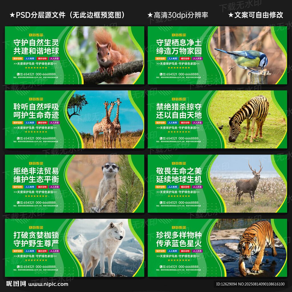 保护野生动物