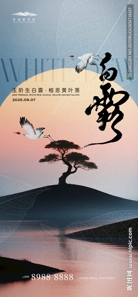 白露