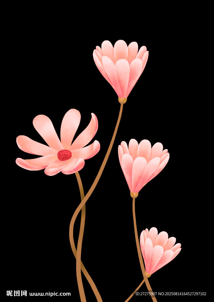 粉色花朵插画