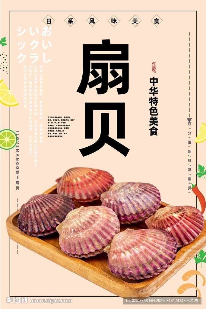 扇贝