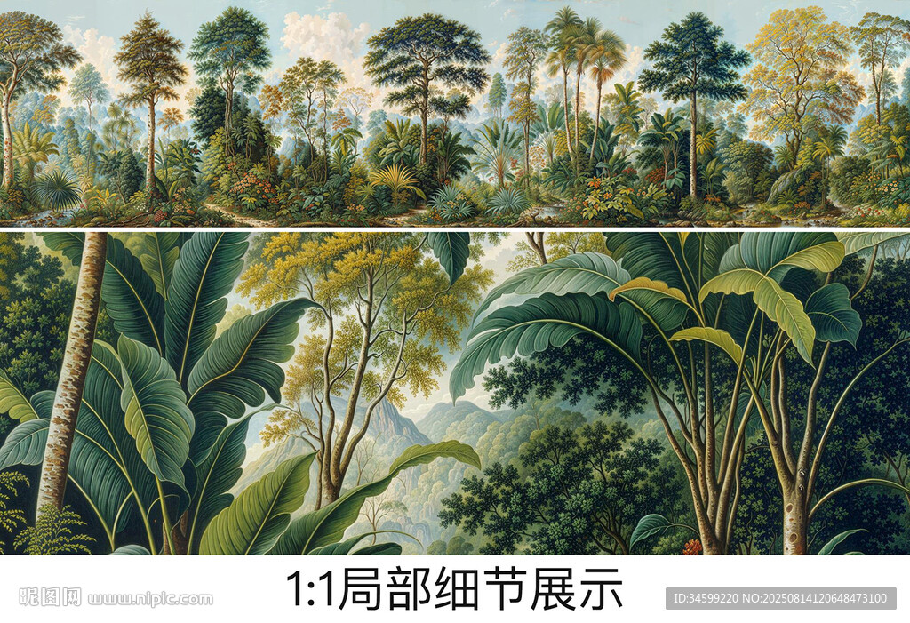热带雨林背景墙