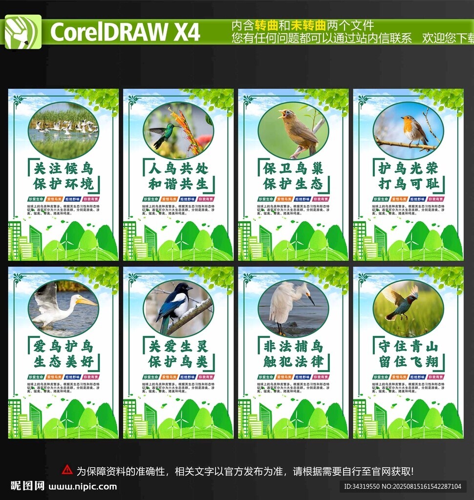 保护鸟类宣传海报