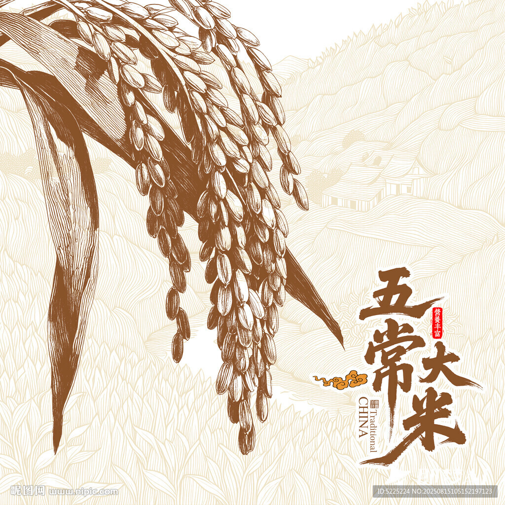 复古稻穗插画