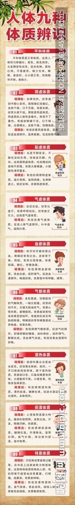 中医体质辨识及调养方法
