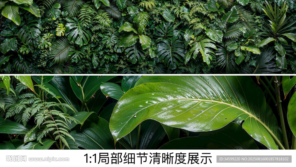 雨林绿叶背景墙壁画