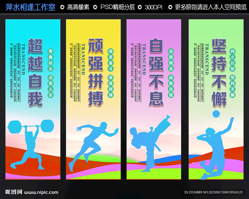 体育文化